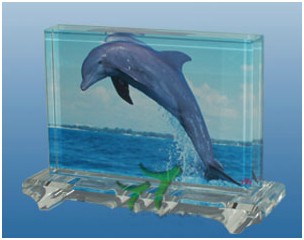 ˮ��Ӱ�� WYһ008