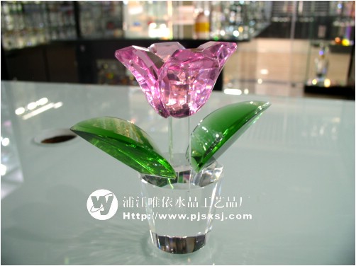 ˮ�������� WY-036