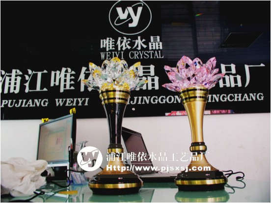 ˮ�������� WY-046