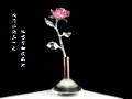 ˮ��õ�廨 WYһ014